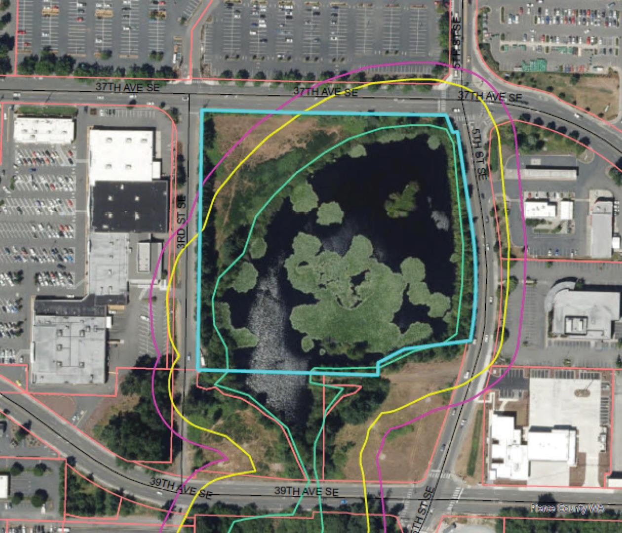 Puyallup Commercial Site