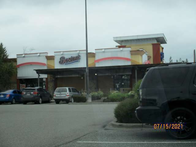 Bostons Pic 1