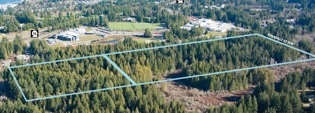 Screenshot 2025-03-21 140410