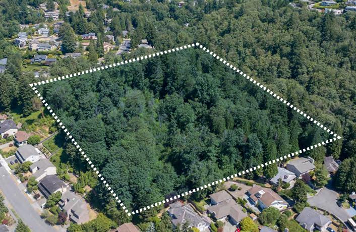 Screenshot 2025-03-26 091904