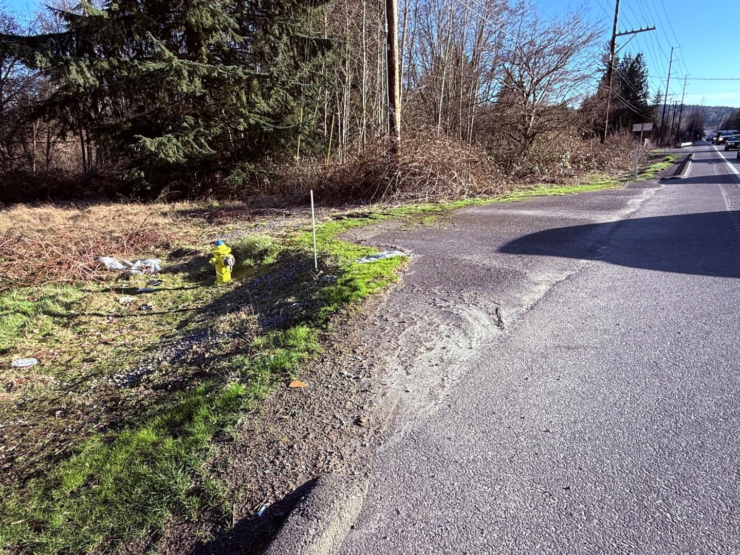 Hwy 9 driveway.jpeg