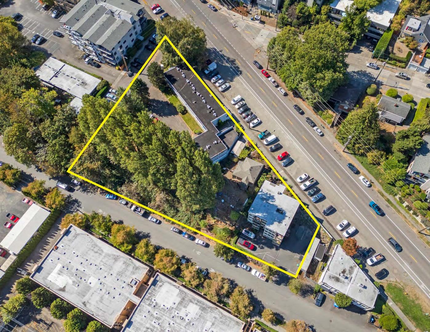 Magnolia Assemblage - BDPMJUBPD.jpeg