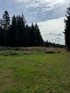 Pic 1